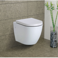 Premium Wall Hung Pan Toilets
